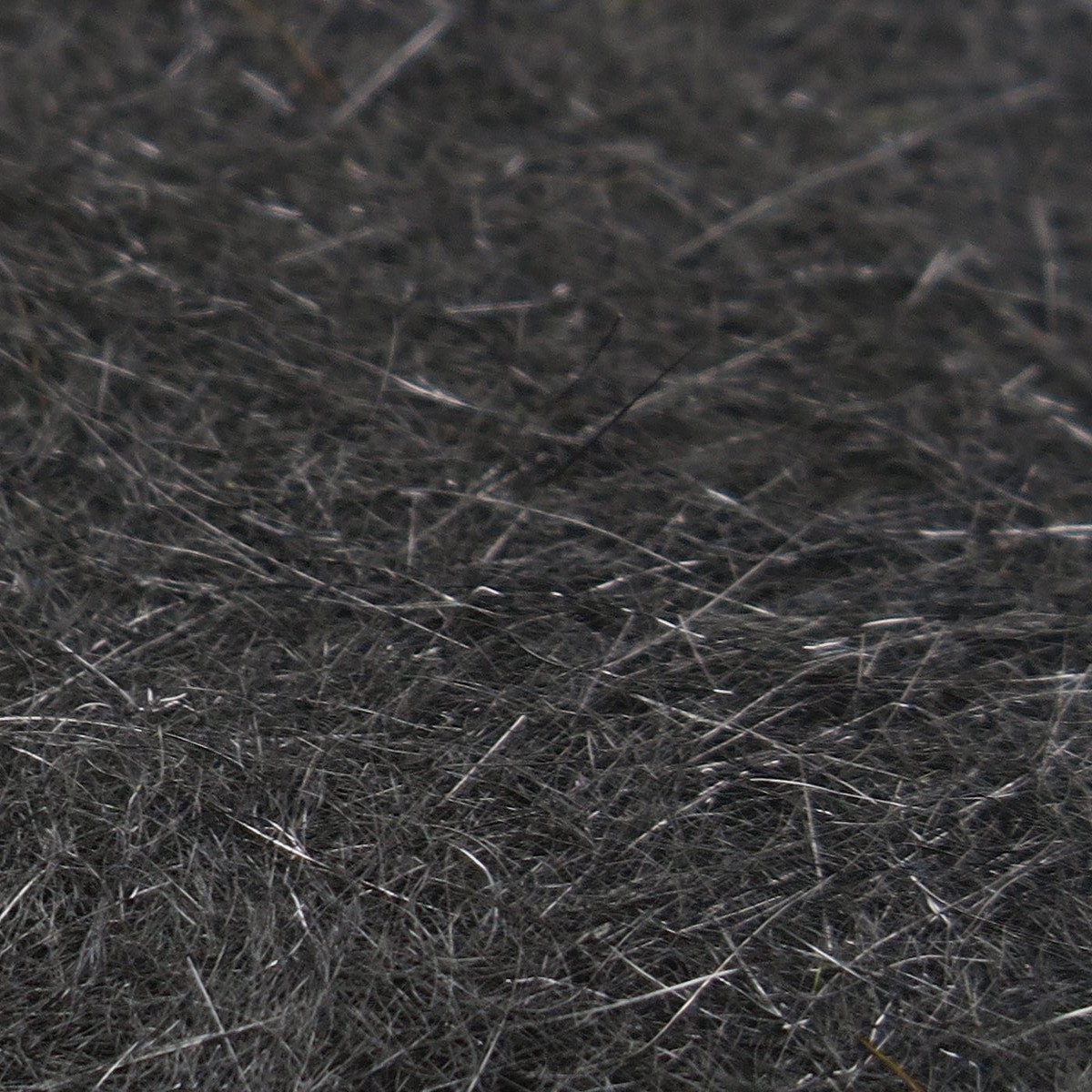 New Arrival Hareline Squirrel Hair Dubbing