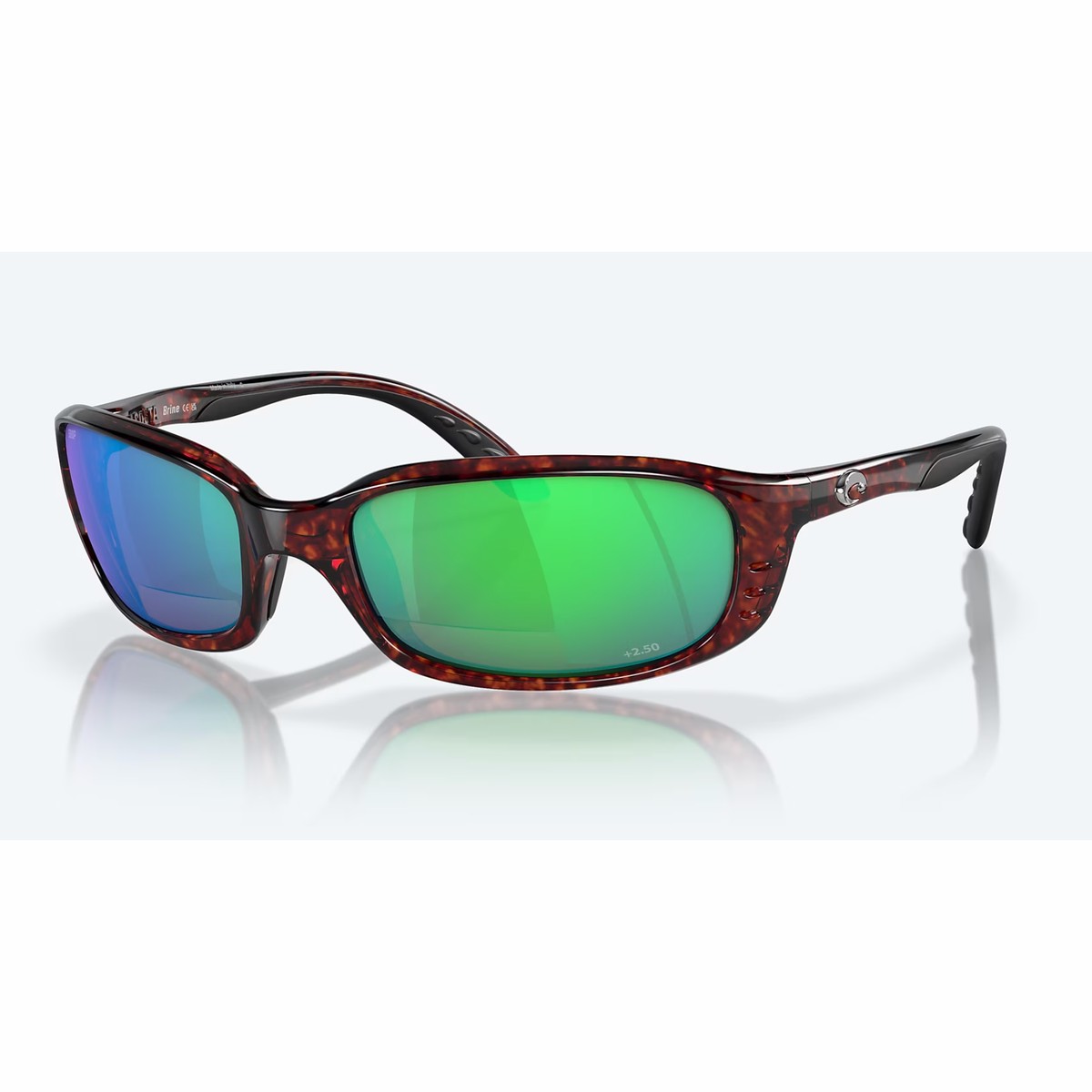 Costa BRINE Readers - Tortoise