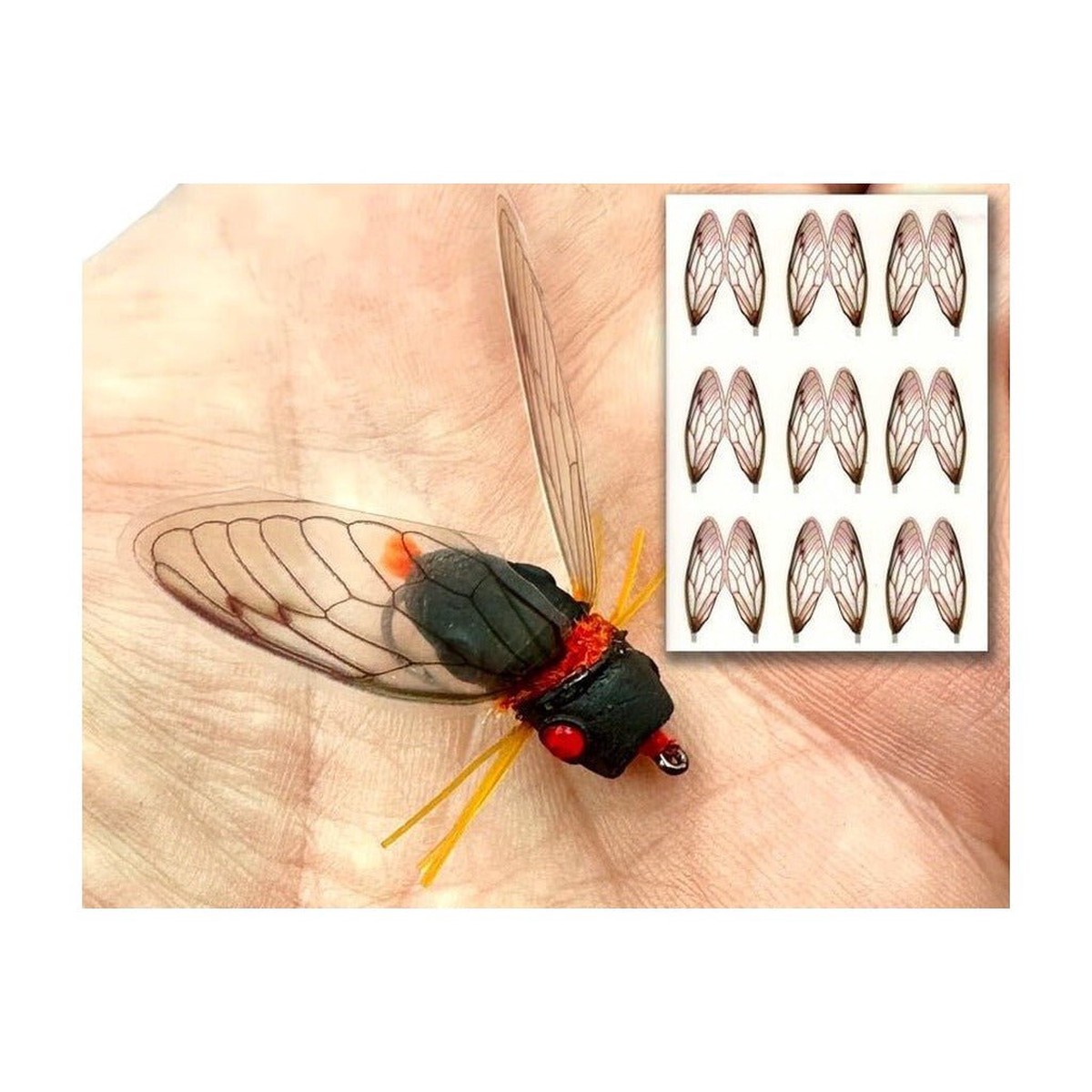 Cicada Wings - Orange