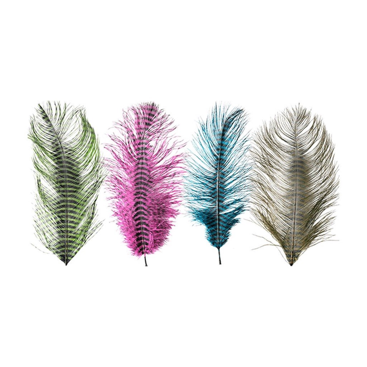 MFC - Barred Ostrich Plume
