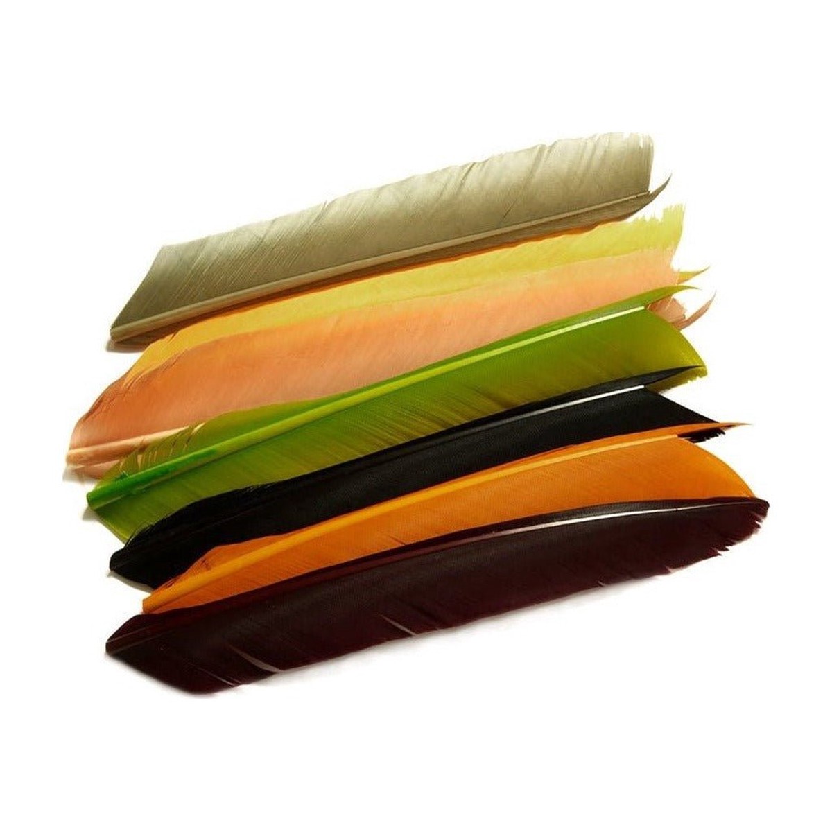 Fulling Mill Turkey Biots