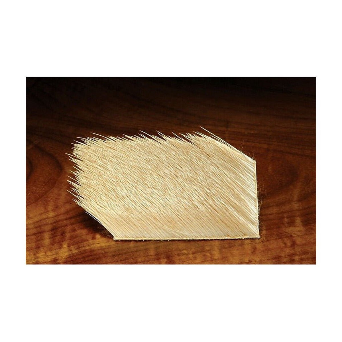 Bleached Elk