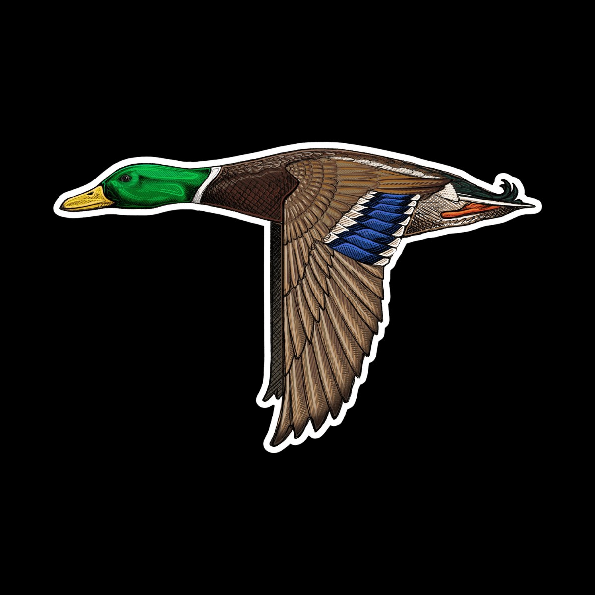 CASEY UNDERWOOD BIRD DECALS / STICKERS
