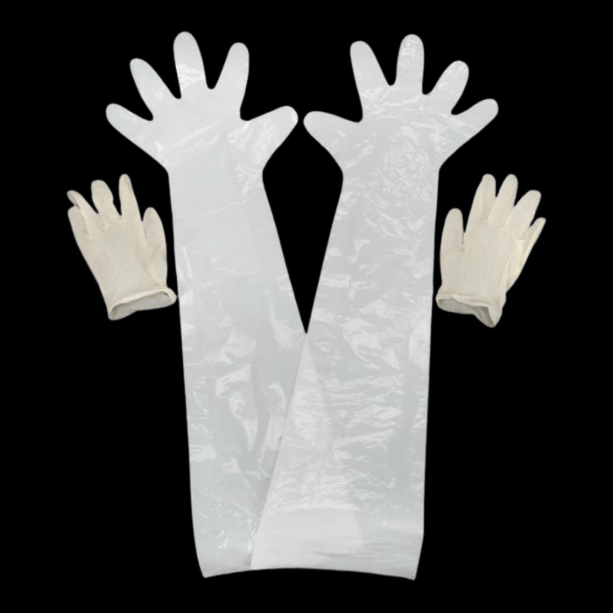 ALLEN FIELD DRESSING GLOVES CLEAR