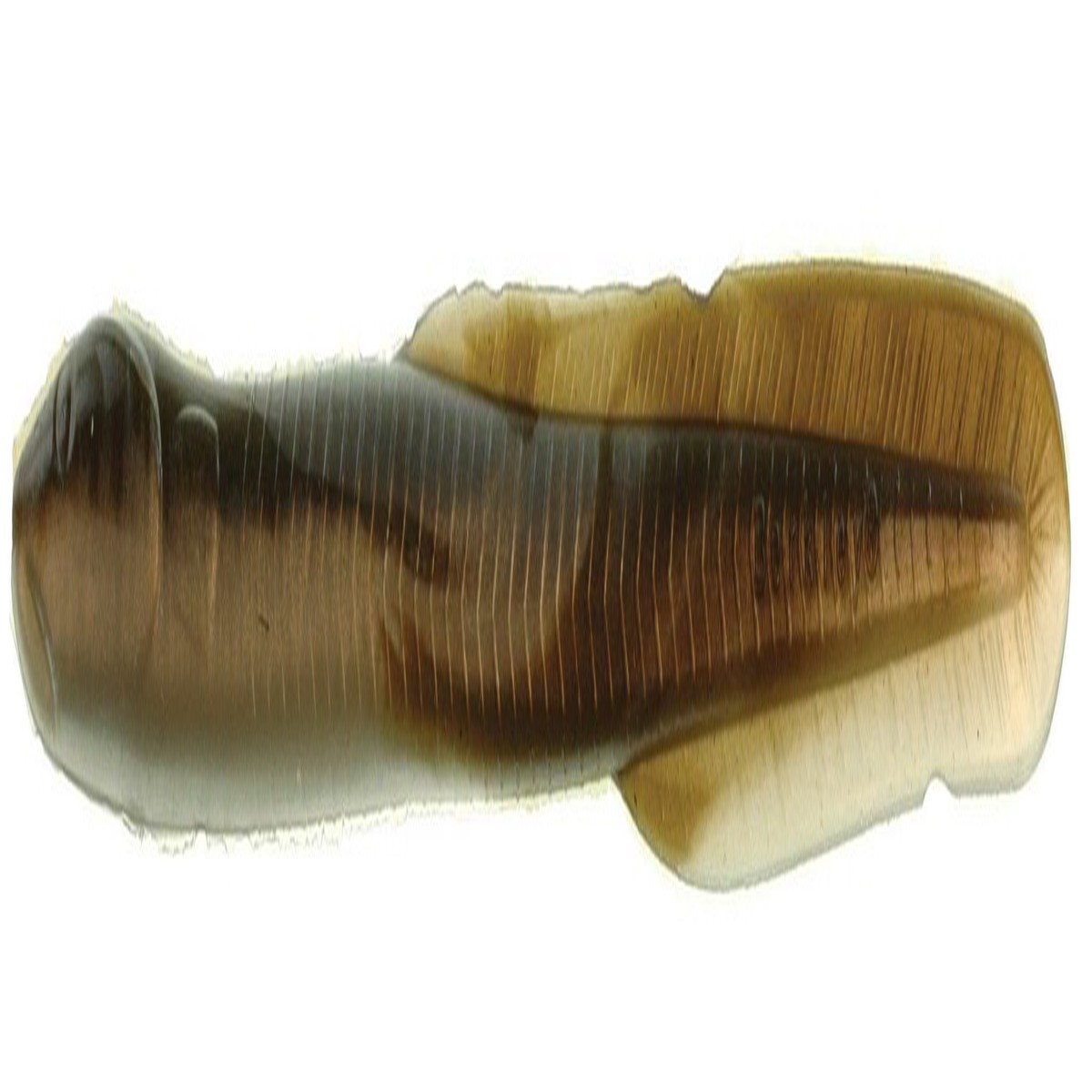 Berkley Gulp! Alive Eel